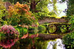 Beautiful historic garden