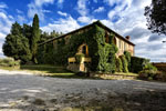 Luxuriant and extensive estate - Top-quality wines